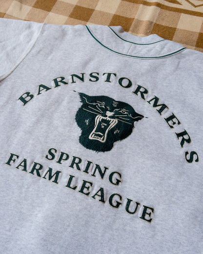 Barnstormers Baseball Jersey - Home